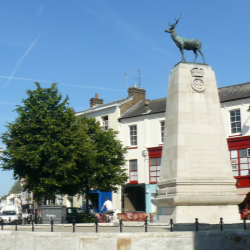 Forum