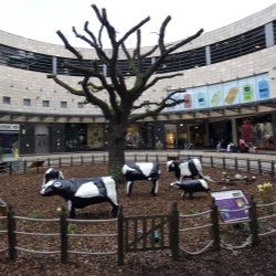 Forum