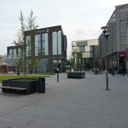 Forum